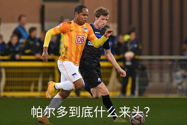 帕尔多到底什么来头？