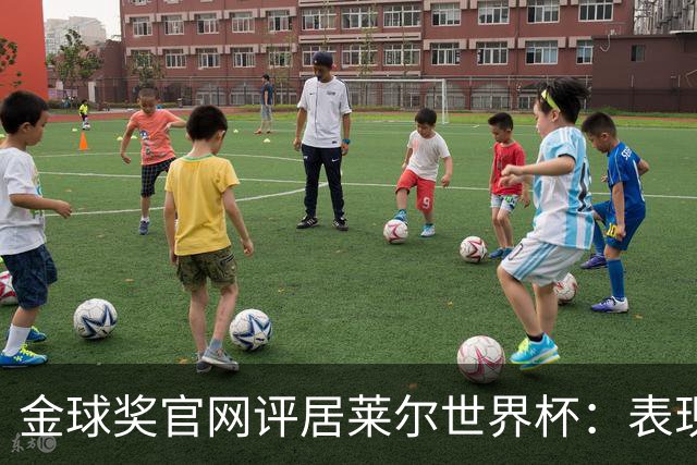 金球奖官网评居莱尔世界杯：表现足够好，可惜整体不佳